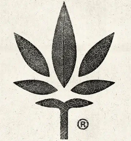 Best Research Chem Stores Reviewed – Where to Buy Research Chemicals Online 2025